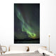 Aurora Borealis Or Northern Lights Above The Mountains Near Whitehorse Wall Mural