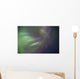 Aurora Borealis Or Northern Lights Above Whitehorse, Yukon Wall Mural