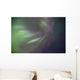 Aurora Borealis Or Northern Lights Above Whitehorse, Yukon Wall Mural