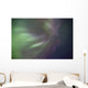 Aurora Borealis Or Northern Lights Above Whitehorse, Yukon Wall Mural