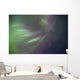 Aurora Borealis Or Northern Lights Above Whitehorse, Yukon Wall Mural