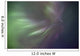 Aurora Borealis Or Northern Lights Above Whitehorse, Yukon Wall Mural