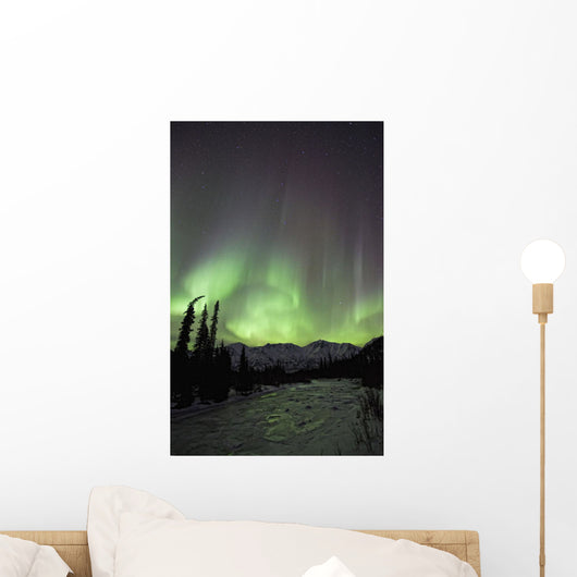 Aurora Borealis Over The Wheaton River, Yukon Wall Mural