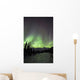 Aurora Borealis Over The Wheaton River, Yukon Wall Mural
