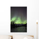 Aurora Borealis Over The Wheaton River, Yukon Wall Mural