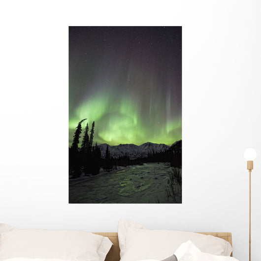 Aurora Borealis Over The Wheaton River, Yukon Wall Mural