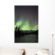 Aurora Borealis Over The Wheaton River, Yukon Wall Mural
