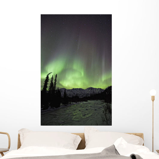 Aurora Borealis Over The Wheaton River, Yukon Wall Mural