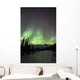 Aurora Borealis Over The Wheaton River, Yukon Wall Mural