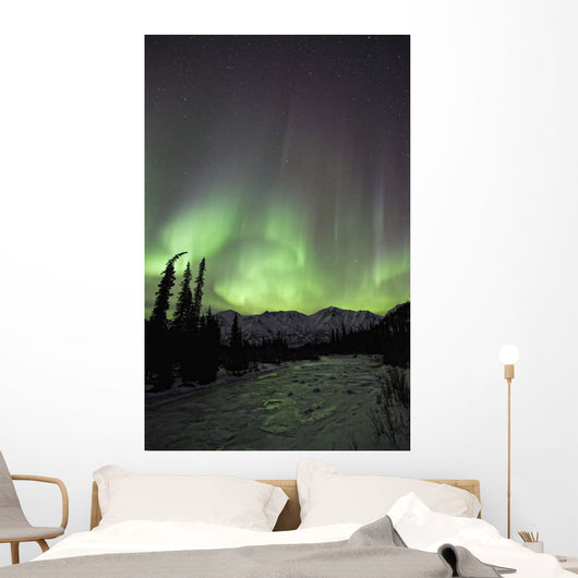 Aurora Borealis Over The Wheaton River, Yukon Wall Mural