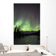 Aurora Borealis Over The Wheaton River, Yukon Wall Mural