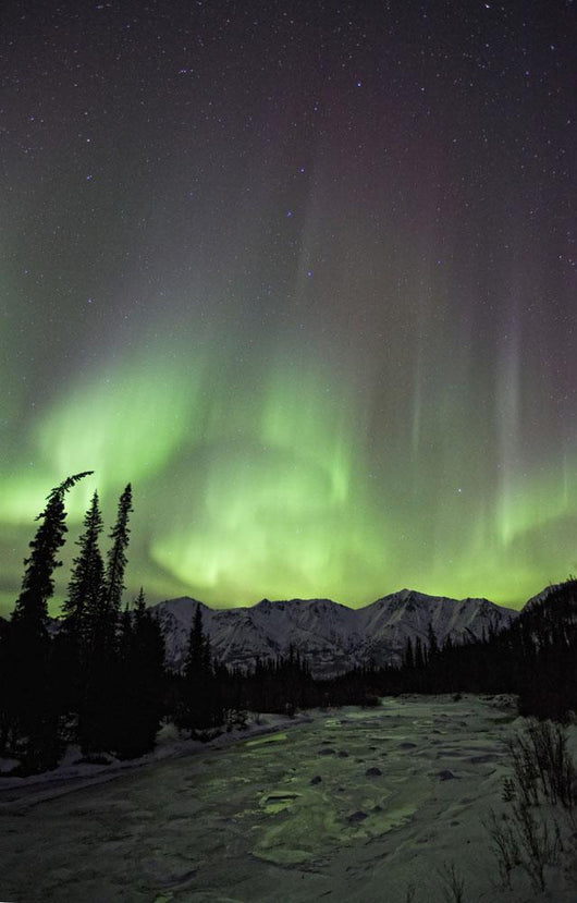Aurora Borealis Over The Wheaton River, Yukon Wall Mural