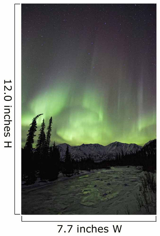 Aurora Borealis Over The Wheaton River, Yukon Wall Mural