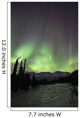 Aurora Borealis Over The Wheaton River, Yukon Wall Mural