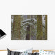 Snow Covered Trees In Cathedral Grove Near Port Alberni Wall Mural