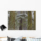 Snow Covered Trees In Cathedral Grove Near Port Alberni Wall Mural