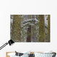 Snow Covered Trees In Cathedral Grove Near Port Alberni Wall Mural