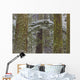Snow Covered Trees In Cathedral Grove Near Port Alberni Wall Mural