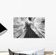Black And White Image Of A Large White Pine In Algonquin Park, Ontario Wall Mural