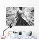 Black And White Image Of A Large White Pine In Algonquin Park, Ontario Wall Mural