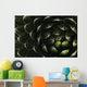 Bolivian Plant In Late Afternoon Light Wall Mural
