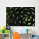 Bolivian Plant In Late Afternoon Light Wall Mural