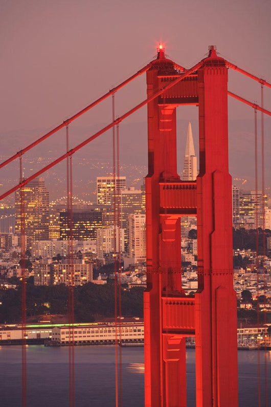 View From Golden Gate National Recreation Area Wall Mural