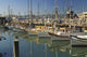 Fishermen's Terminal Wall Mural