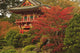 Japanese Tea Garden In Golden Gate Park Wall Mural