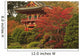 Japanese Tea Garden In Golden Gate Park Wall Mural