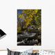 Alqonquin Provincial Park In Autumn, Ontario, Canada Wall Mural