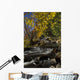 Alqonquin Provincial Park In Autumn, Ontario, Canada Wall Mural