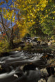 Alqonquin Provincial Park In Autumn, Ontario, Canada Wall Mural