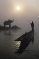 An Elephant With Its Mahout Stand At The Edge Of The Rapti River Wall Mural