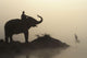 An Elephant With Its Mahout Stand At The Edge Of The Rapti River Wall Mural