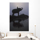 An Elephant With Its Mahout Stand At The Edge Of The Rapti River Wall Mural