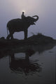 An Elephant With Its Mahout Stand At The Edge Of The Rapti River Wall Mural