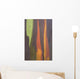 Rainbow Eucalyptus Bark, Close-Up, Kauai, Hawaii Wall Mural
