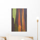 Rainbow Eucalyptus Bark, Close-Up, Kauai, Hawaii Wall Mural