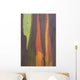 Rainbow Eucalyptus Bark, Close-Up, Kauai, Hawaii Wall Mural