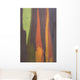 Rainbow Eucalyptus Bark, Close-Up, Kauai, Hawaii Wall Mural