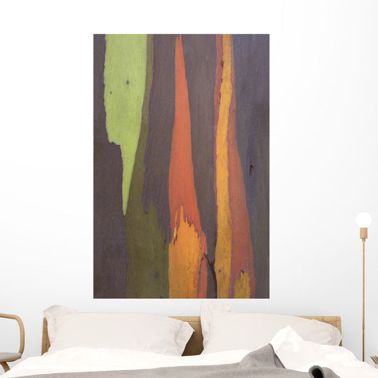 Rainbow Eucalyptus Bark, Close-Up, Kauai, Hawaii Wall Mural