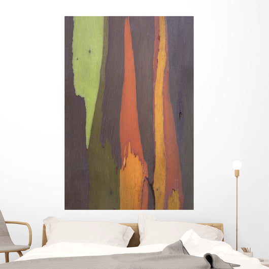Rainbow Eucalyptus Bark, Close-Up, Kauai, Hawaii Wall Mural