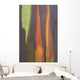 Rainbow Eucalyptus Bark, Close-Up, Kauai, Hawaii Wall Mural