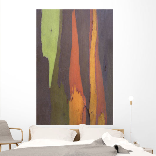Rainbow Eucalyptus Bark, Close-Up, Kauai, Hawaii Wall Mural
