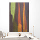 Rainbow Eucalyptus Bark, Close-Up, Kauai, Hawaii Wall Mural