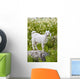 Goat In A Field On The Site Of Ancient Patara, Lycian Coast, Turkey Wall Mural