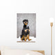 Female Rottweiler Sitting On Top Of A Picnic Table During A Snow Storm Wall Mural