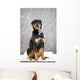 Female Rottweiler Sitting On Top Of A Picnic Table During A Snow Storm Wall Mural