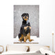 Female Rottweiler Sitting On Top Of A Picnic Table During A Snow Storm Wall Mural